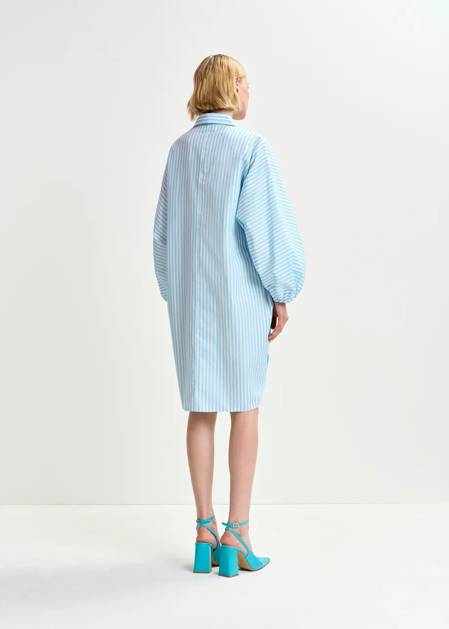 
                  
                    Hoses Foil Print Shirt Dress
                  
                